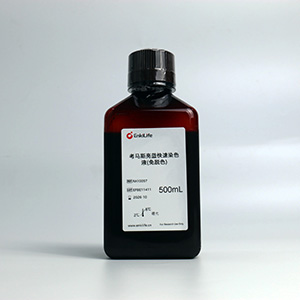 考马斯亮蓝快速染色液(免脱色) | EnkiLife恩玑生命