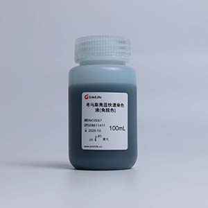 考马斯亮蓝快速染色液(免脱色) | EnkiLife恩玑生命