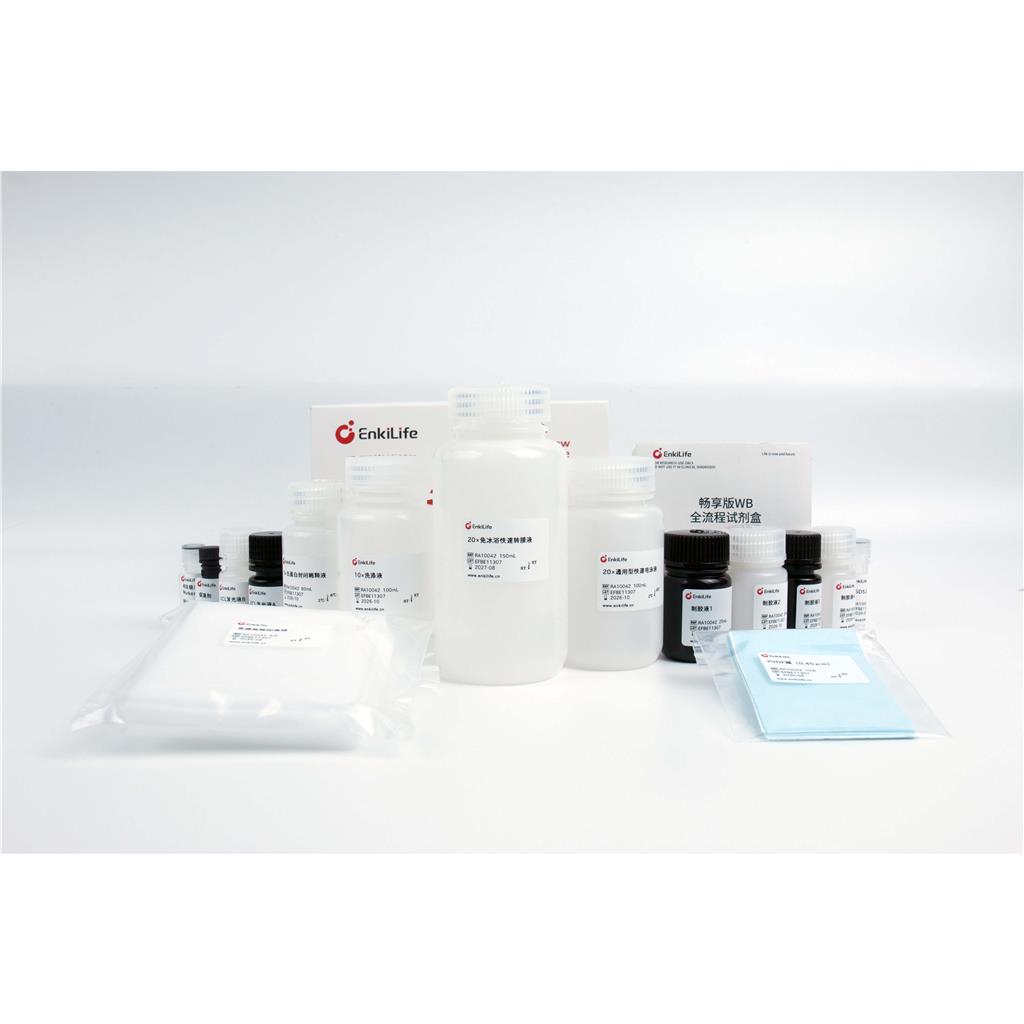 畅享版WB全流程试剂盒 | EnkiLife恩玑生命