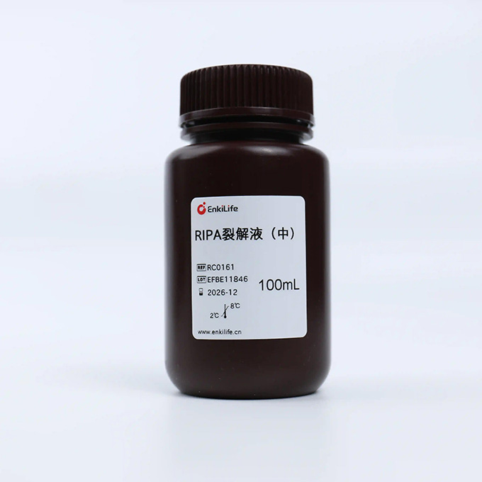 RIPA 裂解液（中）| EnkiLife恩玑生命