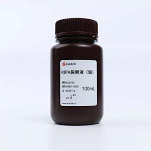 RIPA 裂解液（弱）| EnkiLife恩玑生命
