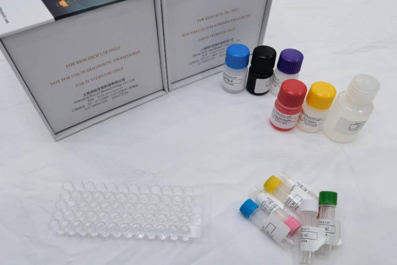 人白细胞介素11(IL-11)ELISA试剂盒