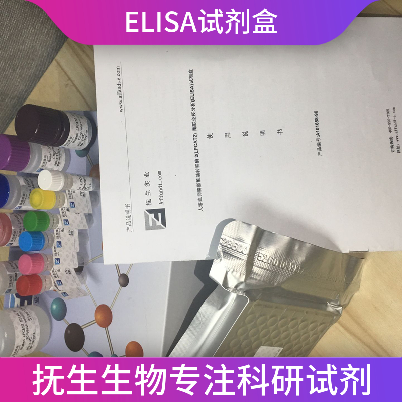 人肌酸转运蛋白(CRT)ELISA试剂盒