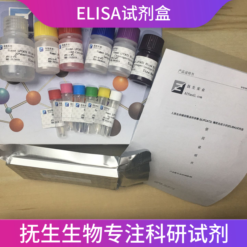人甘丙肽(GAL)ELISA试剂盒