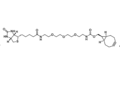 1263166-92-2，endo-BCN-PEG3-Biotin，内型?BCN-三聚乙二醇-生物素