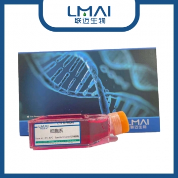 TM3-LUC细胞（小鼠睾丸间质细胞带荧光素酶）LM8C0234-L