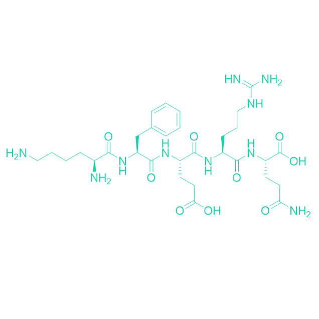 五肽KFERQ/115084-19-0/Lys-Phe-Glu-Arg-Gln
