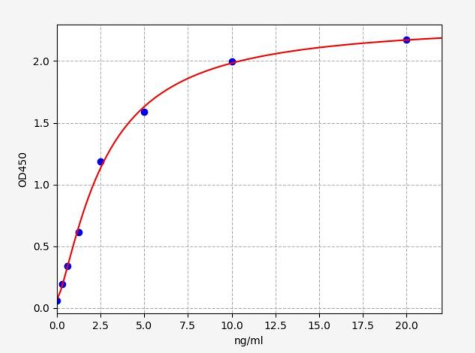 人NADPH氧化酶1(NOX1)ELISA试剂盒 YB-73335Hu