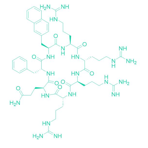 218P1002 CPP9 1831064-63-1.png 218P1002 CPP9 1831064-63-1.png