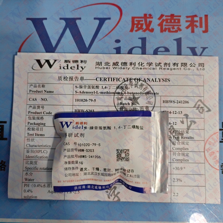 S-腺苷蛋氨酸 1,4-丁二磺酸盐  101020-79-5 高纯试剂 陈明 13339985473同微