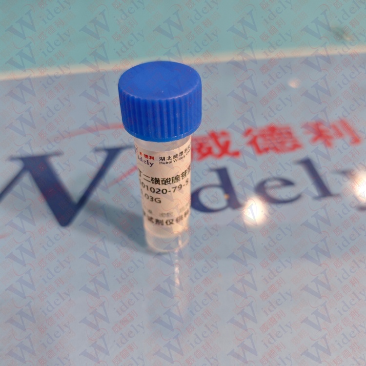 S-腺苷蛋氨酸 1,4-丁二磺酸盐  101020-79-5 高纯试剂 陈明 13339985473同微