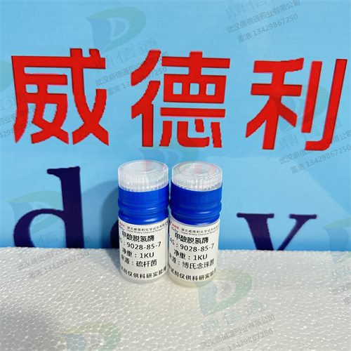 甲酸脱氢酶；甲酸酯脱氢酶