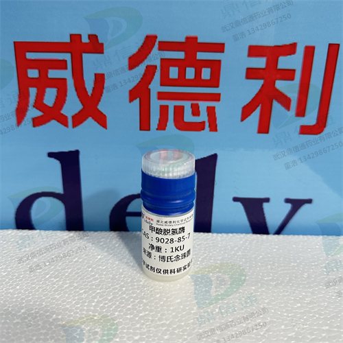 甲酸脱氢酶；甲酸酯脱氢酶