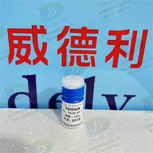 甲酸脱氢酶；甲酸酯脱氢酶