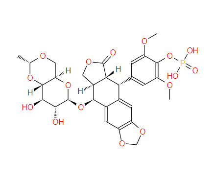 117091-64-2  磷酸依托泊苷