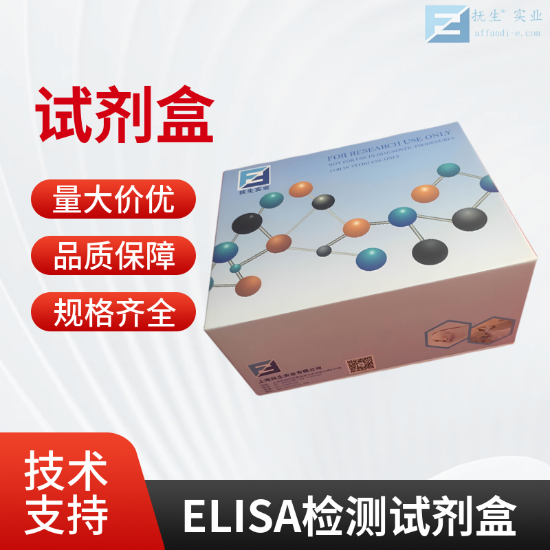 兔MMP-7elisa试剂盒