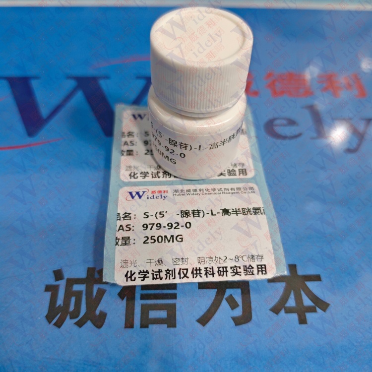 S-(5’-腺苷)-L-高半胱氨酸 979-92-0 含量98% 高纯试剂 陈明 13339985473同微