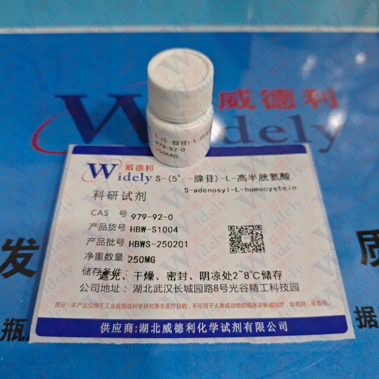 S-(5’-腺苷)-L-高半胱氨酸 979-92-0 含量98% 高纯试剂 陈明 13339985473同微