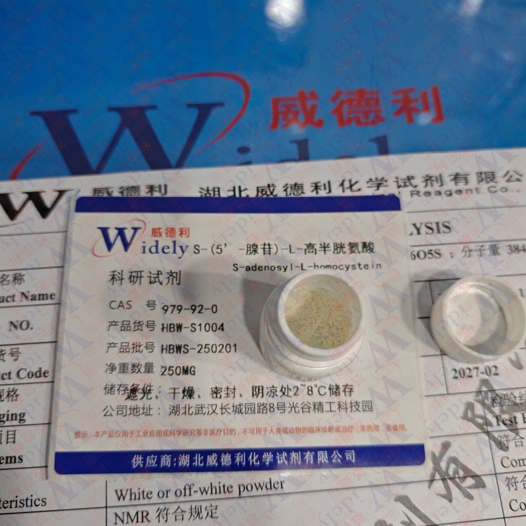 S-(5’-腺苷)-L-高半胱氨酸 979-92-0 含量98% 高纯试剂 陈明 13339985473同微