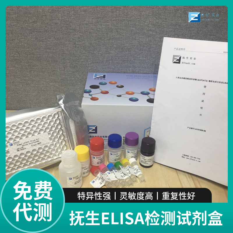 兔FGF-1/FGF acidacelisa试剂盒