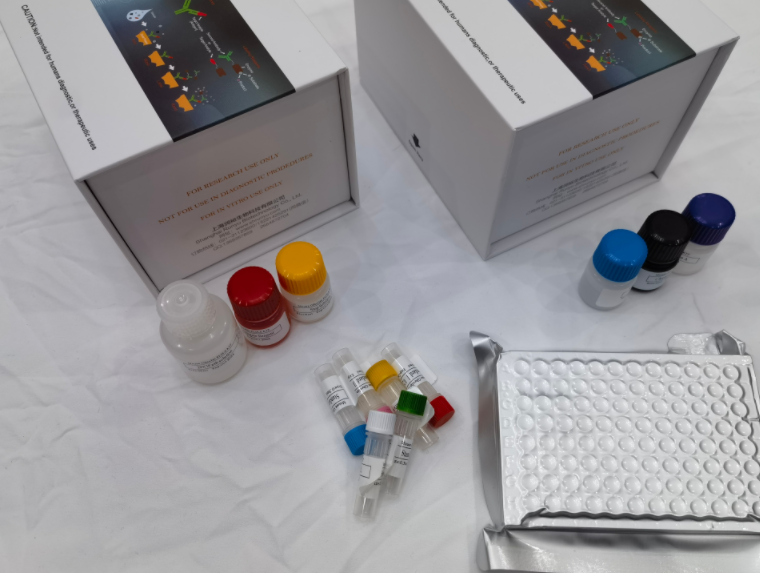 人血清淀粉样蛋白P(SAP)ELISA试剂盒