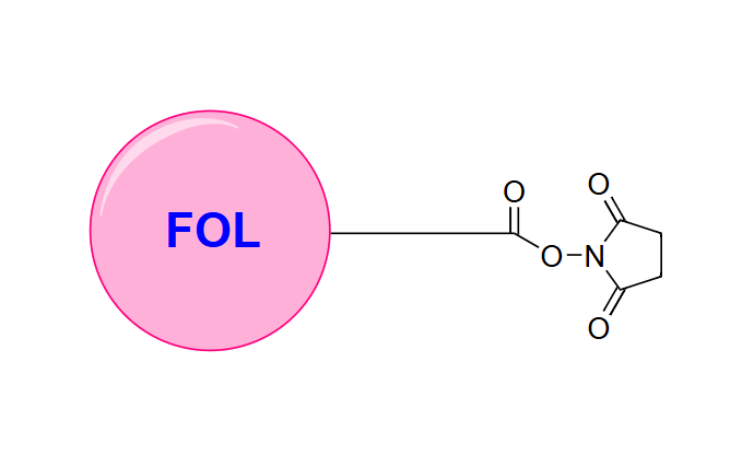 Buccutite FOL，NHS酯，Buccutite FOL, NHS ester，Buccutite FOL，琥珀酰亚胺酯