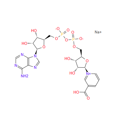 NAAD（烟酸腺嘌呤二核苷酸钠盐）