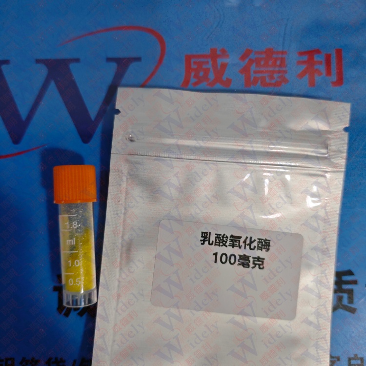 乳酸氧化酶 9028-72-2 科研试剂 ≥80U/mg 高纯试剂 陈明 13339985473同微