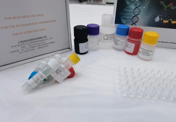 人胃蛋白酶原C(PG-C)ELISA试剂盒