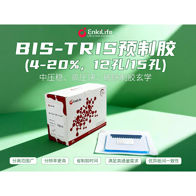 Bis-Tris,4-20%,15wells | EnkiLife恩玑生命