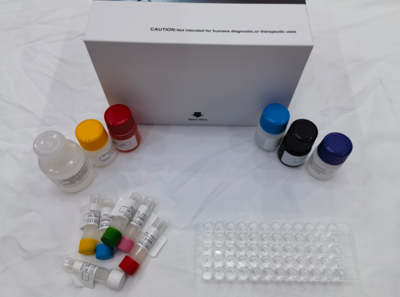 人低氧诱导因子-1α(HIF-1α)ELISA试剂盒