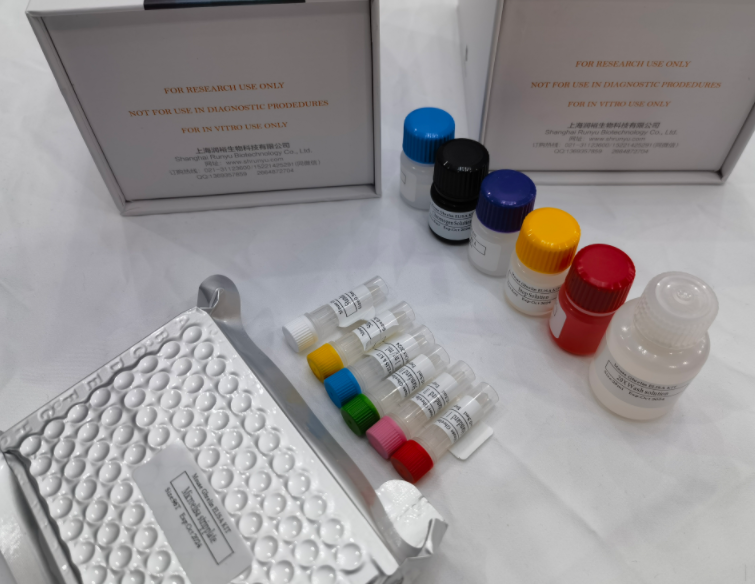 人白细胞介素1(IL-1)ELISA试剂盒