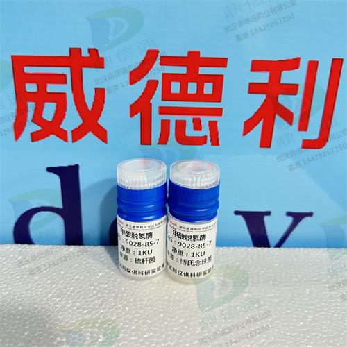 甲酸脱氢酶  9028-85-7 来源：硫杆菌 (6).jpg