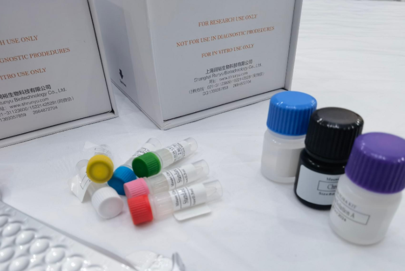 人磷脂酶A2组ⅡA(PLA2G2A)ELISA试剂盒