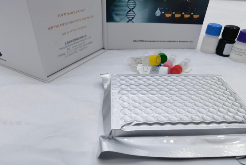 人巨噬细胞炎性蛋白1α(MIP-1α;CCL3)ELISA试剂盒