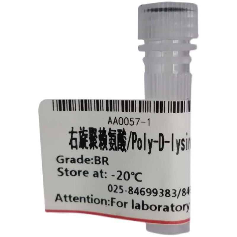 多聚右旋赖氨酸