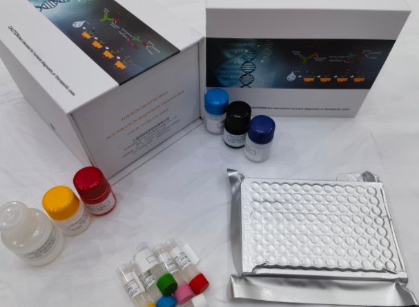 人过氧化物酶体生物合成因子16(PEX16)ELISA试剂盒