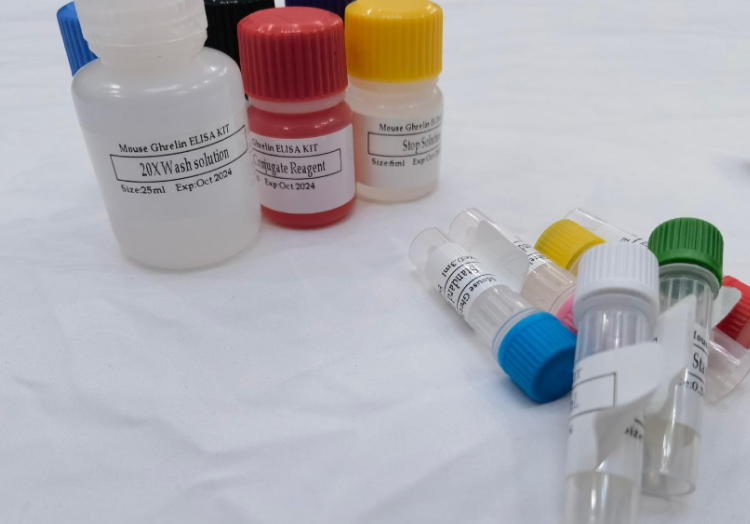 人过氧化物酶体增殖物激活受体γ辅激活子1α(PGC-1α)ELISA试剂盒