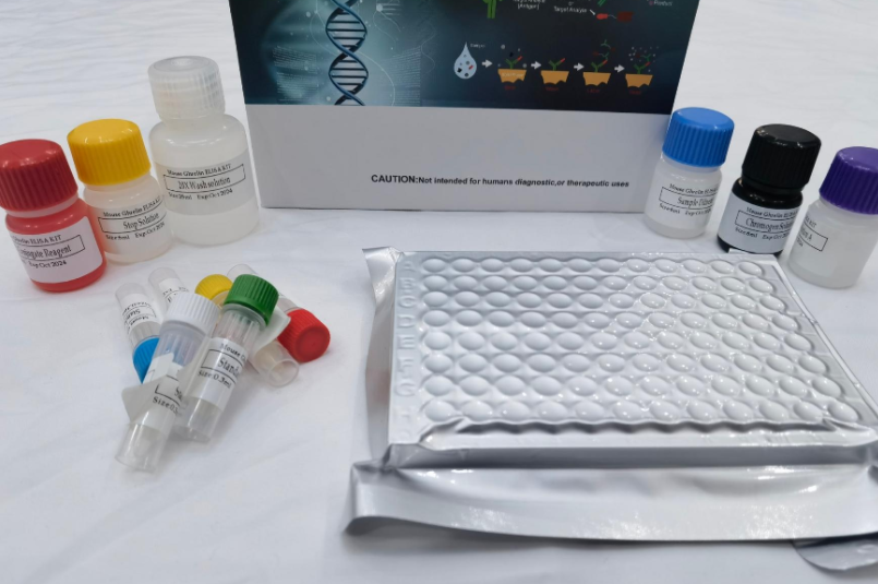 人周期素依赖性激酶1(CDK-1)ELISA试剂盒