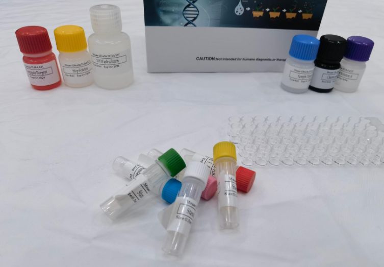 人单核细胞趋化蛋白4(MCP-4;CCL13)ELISA试剂盒