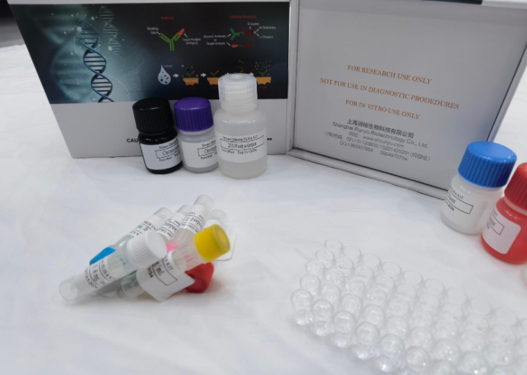 人单核细胞趋化蛋白1(MCP-1;CCL2)ELISA试剂盒