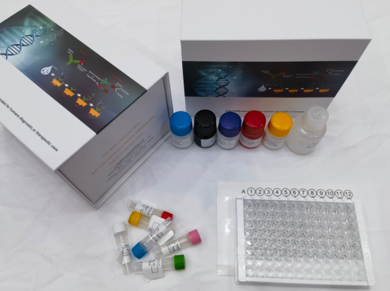 人凝集素样氧化低密度脂蛋白受体1(LOX1)ELISA试剂盒