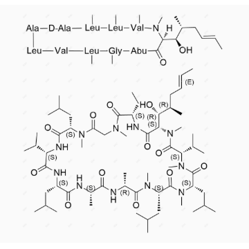 环孢素EP杂质D   108027-45-8
