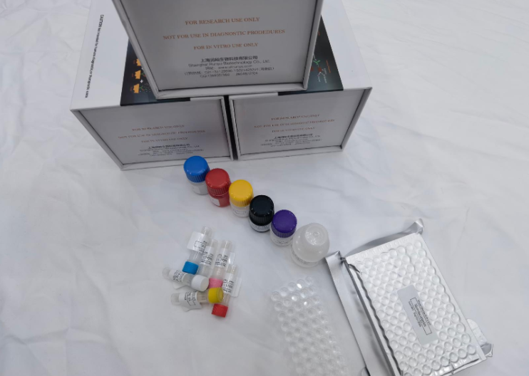 人视黄醇结合蛋白1(RBP1)ELISA试剂盒