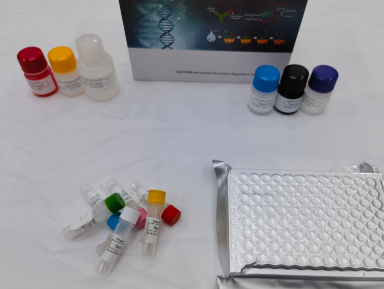 人丝裂原激活蛋白激酶13(MAPK13)ELISA试剂盒