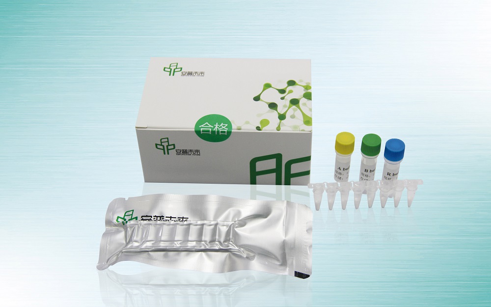 DNA 恒温快速扩增试剂盒扩增试剂盒（基础型）