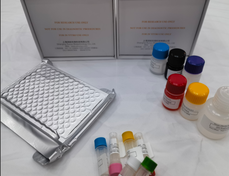 人丝氨酸肽酶抑制因子Kazal型5(SPINK5)ELISA试剂盒