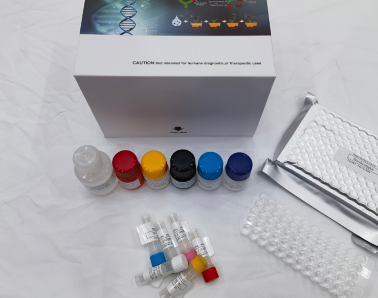 人丝氨酸肽酶抑制因子Kazal型5(SPINK5)ELISA试剂盒