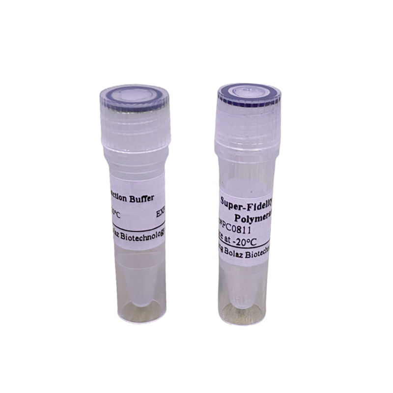 Super-Fidelity DNA Polymerase(5 U/μL)