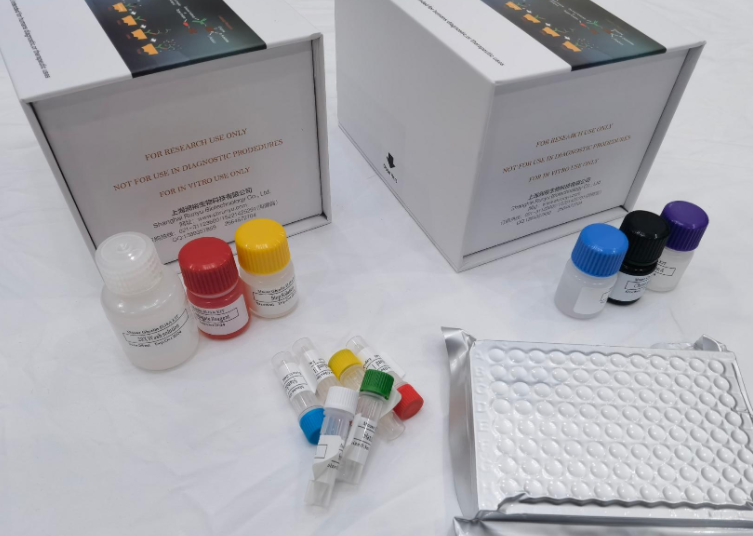 人谷胱甘肽过氧化酶4(GPX4)ELISA试剂盒